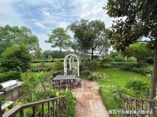 三月高招官方爆料视频下载,视频内容深度解析  第1张