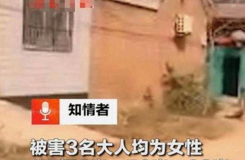 匿名爆料灭门惨案视频播放,惊悚灭门惨案视频曝光，真相令人胆寒  第3张